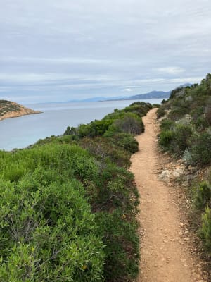 De Calvi à La Revellata - Calvi - 55
