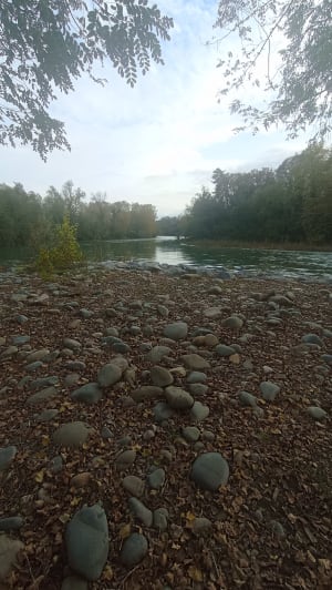 La belle Sauveterre - Sauveterre-de-Béarn - 10
