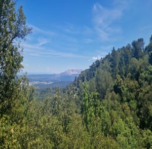 Expeditie naar de Pilon du Roi en prachtig uitzicht over Marseille - Les Frères, Simiane-Collongue - 2
