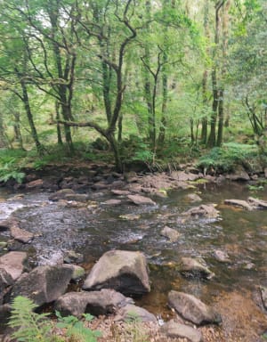 Gorges de Stangala - Quimper - 4