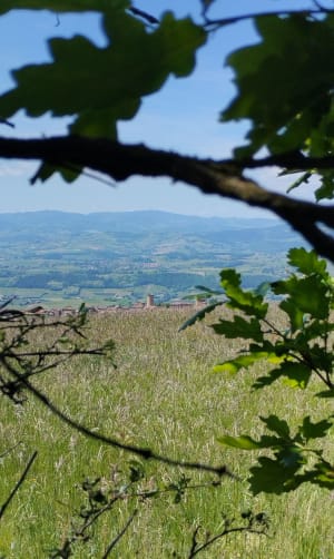 Sentier des crêtes - Ville-sur-Jarnioux - 9