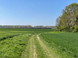 Bois du Roi et la Vallée aux Loups - Fabrice - 5