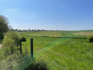 Bois du Roi et la Vallée aux Loups - Fabrice - 6