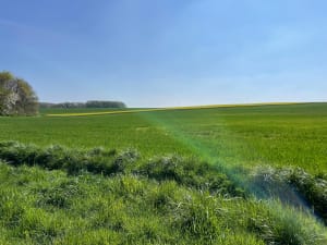 Bois du Roi et la Vallée aux Loups - Fabrice - 7
