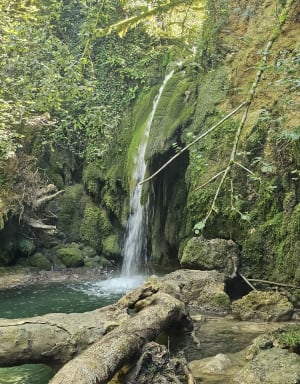Cascade du grand gour à Montagna le Reconduit - Montagna-le-Reconduit - 8