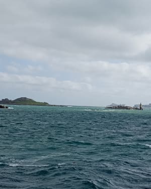 Île de Batz et concentré pur jus de Bretagne - Île de Batz - 22