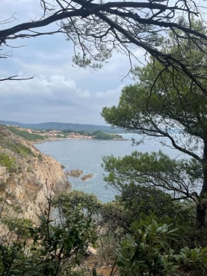 Sur le Chemin des douaniers jusqu'à la plage de Bistagne - Ramatuelle - 4
