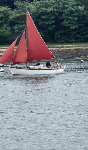 Charmes de l'île de Conleau et Pointe d'Arradon - Vannes - 5