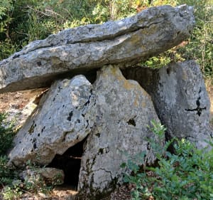 Plateau méjannais - Méjannes-le-Clap - 2