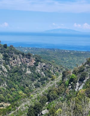 Balade au Mont Oppido - Chiatra - 22