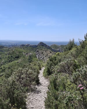 De Trincades en de Blauwe Lagune van Maussane-les-Alpilles - Maussane-les-Alpilles - 22