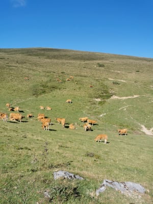 Les crêtes du Hautacam - Beaucens - 39
