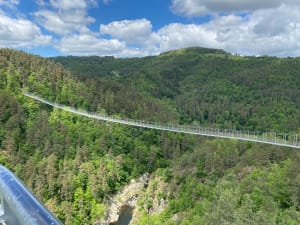 Excursie naar de voetgangersbrug van de Lignon-kloven vanuit Saint-Maurice-de-Lignon - Saint-Maurice-de-Lignon - 13