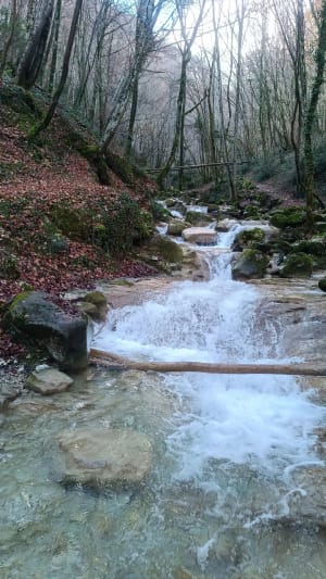 Watervallen van Alloix en Tardy Mill Loop in de winter - Saint-Vincent-de-Mercuze - 33