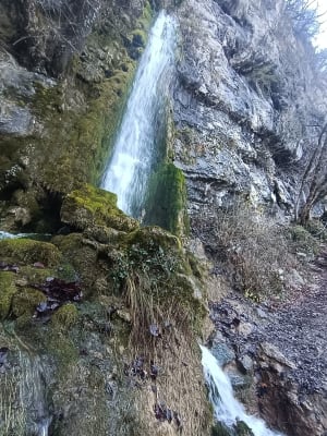 Watervallen van Alloix en Tardy Mill Loop in de winter - Saint-Vincent-de-Mercuze - 38