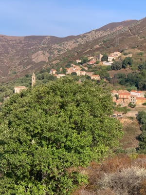 Rocher des Gozzi et exploration du maquis corse - Appietto - 11