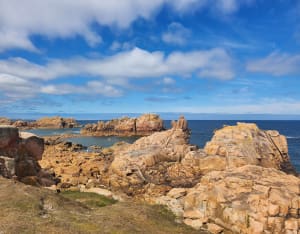 Bréhat, île aux fleurs et paradis micro-méridional - île-Bréhat - 61