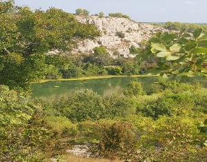 Villetelle et moment hors du temps dans la garrigue - Villetelle - 3