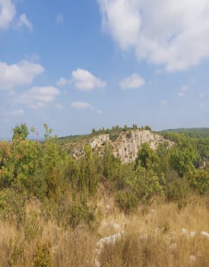 Villetelle et moment hors du temps dans la garrigue - Villetelle - 4