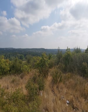 Villetelle et moment hors du temps dans la garrigue - Villetelle - 5
