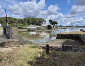 Le tour de Larmor Baden entre mer et marais - Larmor-Baden - 11