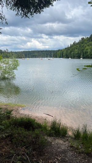 Le tour du lac de Pierre Percée - Pierre-Percée - 9
