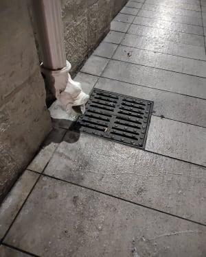 De reis van de uil in Dijon - Dijon - 45