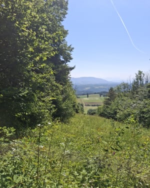 Entre Vouvray et Villes à travers les bois - Valserhône - 3
