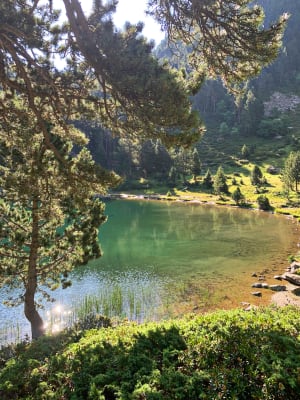 Lac de Laurenti - Le Pla - 16