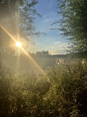 Bois des Cinq Tailles - Norlan - 16