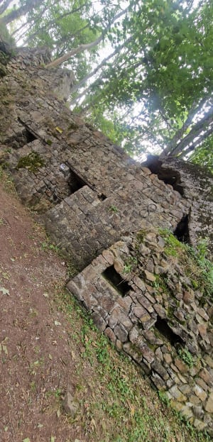 Mémorial Hartmannswillerkopf et terres de combat - Cernay - 14