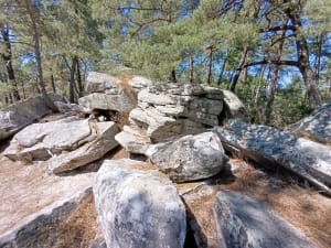 Chemin de randonnée du Rocher d'Avon, numéro 10 de Fontainebleau - Fontainebleau - 5