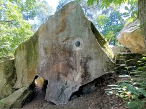 Chemin de randonnée du Rocher d'Avon, numéro 10 de Fontainebleau - Fontainebleau - 6