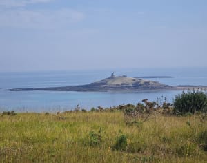 De la plage du Guen à la Fosse-Eyrand, entre mer et bois - Erquy - 13