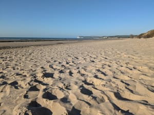 Baie de Wissant et paradis pour les oiseaux - Wissant - 10