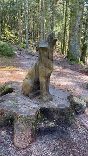 Raven Lake en zijn uitzichtpunt - La Bresse - 130
