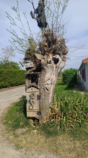 Libellule et Etangs du Romelaère - Nieurlet - 10