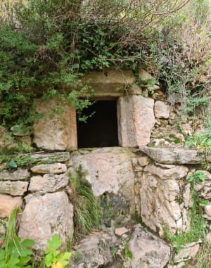 Baus del Biel et sentiers balcon sur le Tarn - Saint-Pierre-des-Tripiers - 39