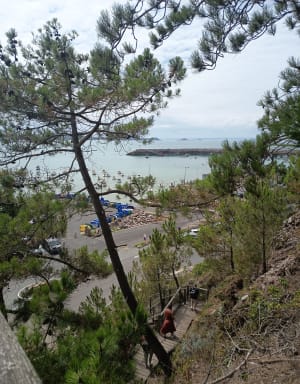 Cap d'Erquy, een zeldzame en adembenemende plek - Erquy - 22