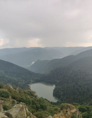 Départ le Honneck, kastelberg, lac de schiessrothried.... - La bresse - 71