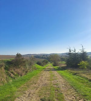 Petite boucle sur les hauteurs de Villenouvelle - Villenouvelle - 6