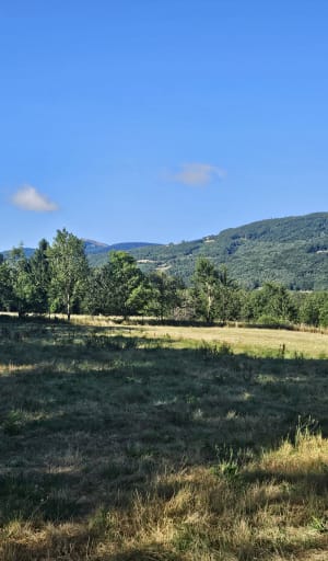 Lacs de Petichet et Laffrey - Saint-Théoffrey - 8