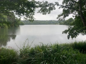 Le tour du lac d’Aydat - Aydat - 22