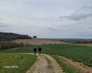 Balzac Charente - Balzac - 2