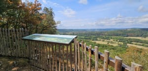 Îlots naturels et sites historiques de la forêt de Campagne - Campagne - 2