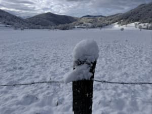 Tour de Balaguère et nature épatante - Kaubrys - 6