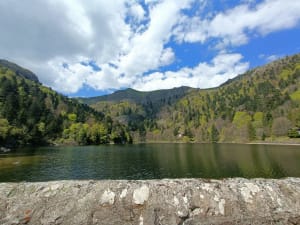 Départ le Honneck, kastelberg, lac de schiessrothried.... - La bresse - 64