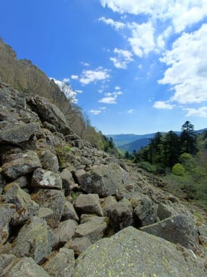 Départ le Honneck, kastelberg, lac de schiessrothried.... - La bresse - 67