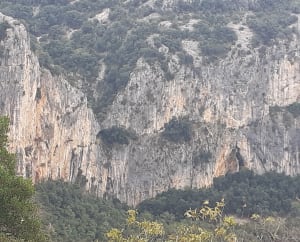 Voyage dans les grottes et gouffres de Vallon-Pont-d'Arc - Vallon-Pont-d'Arc - 16