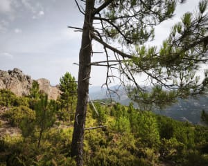 Ascension du Monte San Petru et panoramas corses - Petreto-Bicchisano - 11